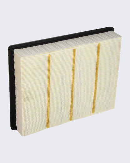 ACDelco AIR FILTER 22845992