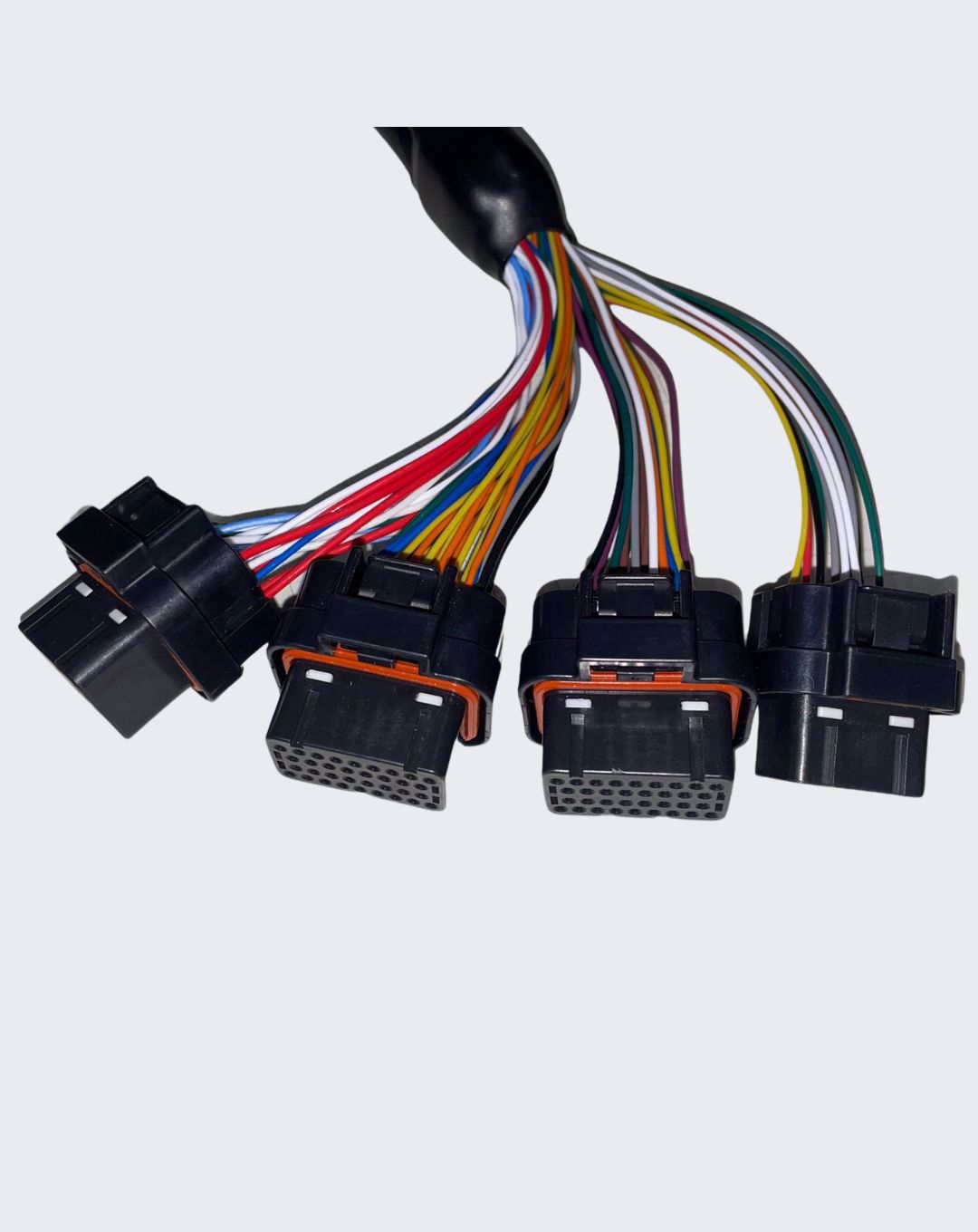 emtron Terminated Harness MOTORSPORTS
