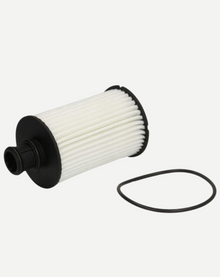 Bosch OIL FILTER F026407269